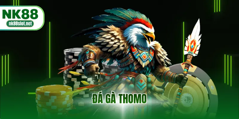 Đá gà Thomo