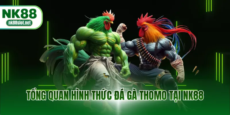 Tổng quan hình thức đá gà Thomo tại NK88